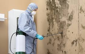 Middletown, CT Mold Inspection Company